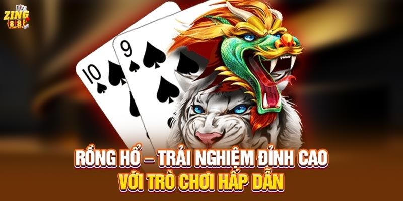 Rồng hổ Zing88