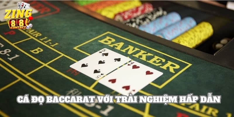 Cá độ Baccarat với cơ hội thắng cược dễ dàng