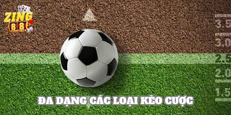 Nhiều loại kèo và giải đấu hấp dẫn cho hội viên