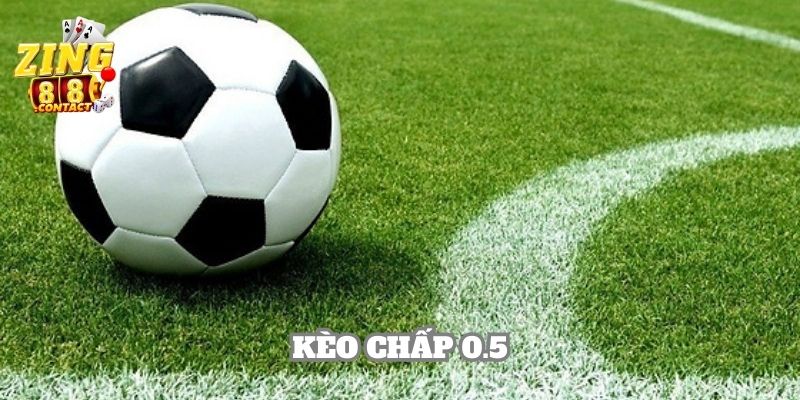 Cá độ kèo chấp 0.5 với mức trả thưởng hấp dẫn